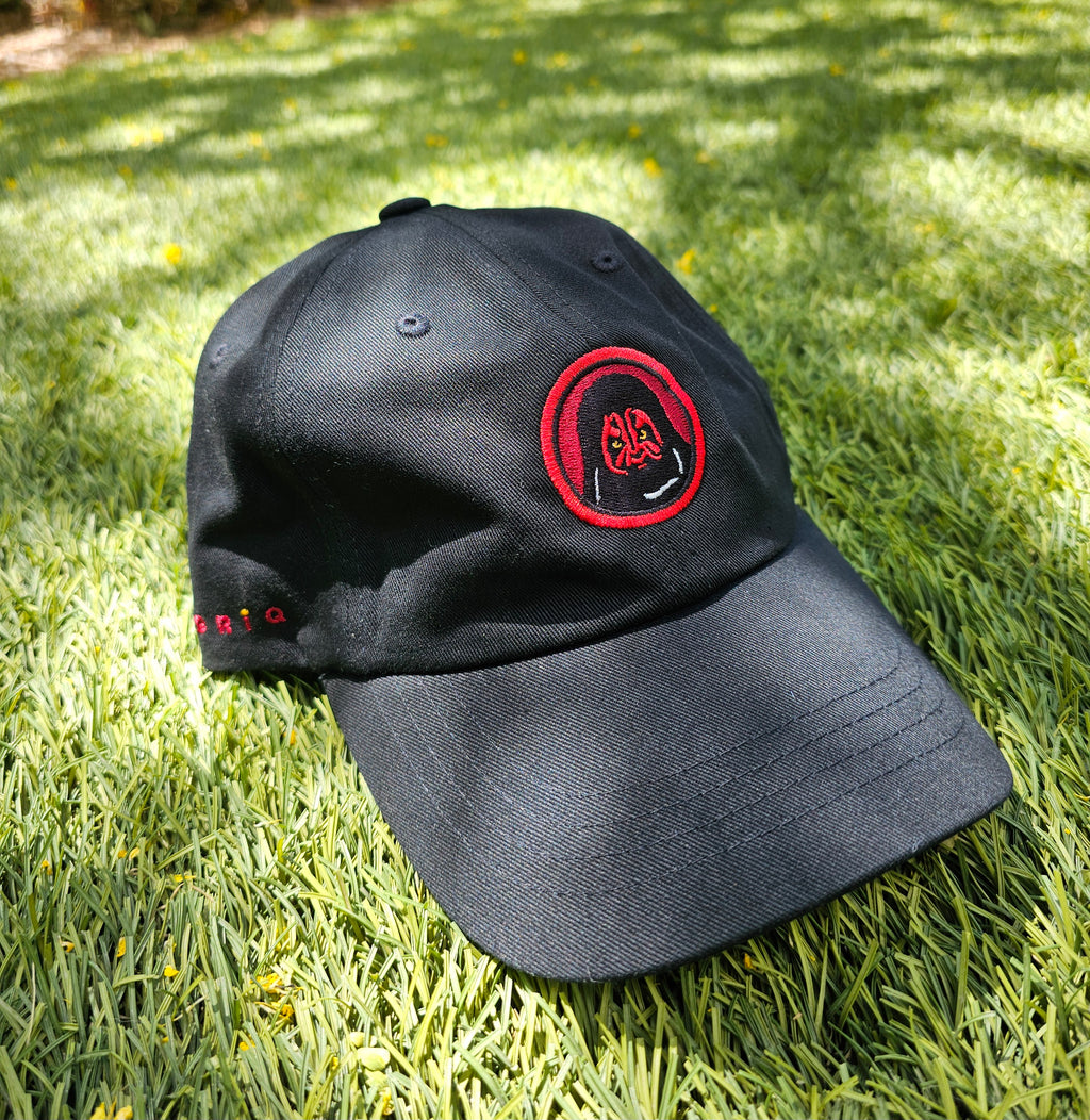 Shadow Apprentice Limited Hat